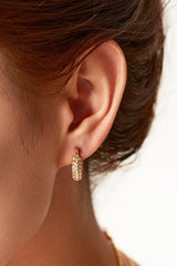 18K Gold Plated Inlaid Zircon Hoop Earrings - Shah S. Sahota